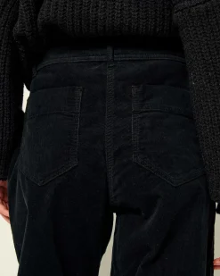 Hosen Sessùn |Hudson Street Fox